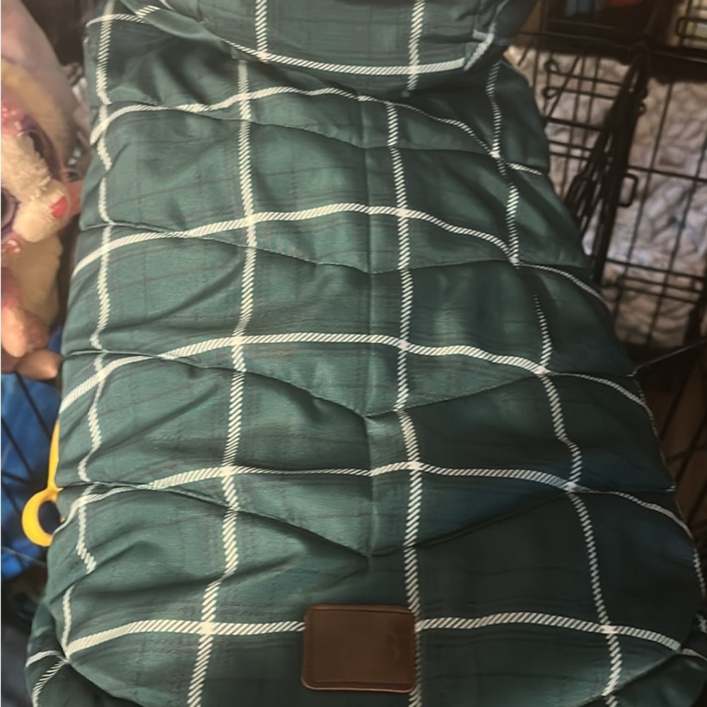 Stylish Green Plaid Dog Coat